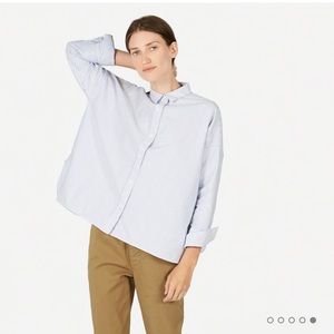 Everlane Japanese Oxford, blue / white stripe